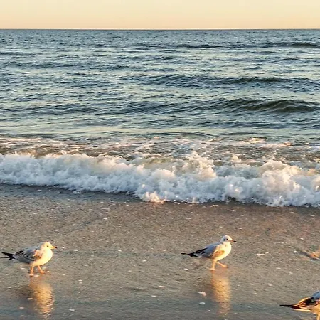 דירה Stunning In *