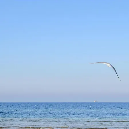 Prachtig Met 2 Slaapkamers In Appartement