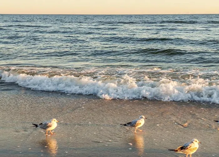 Apartamento Stunning In *